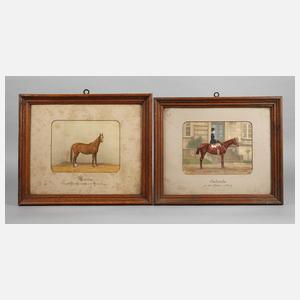 Paar Pferdeportraits