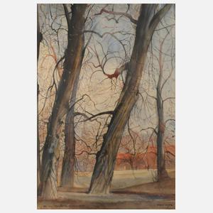 Bernd Beyer, ”Aus dem Darmstädter Herrngarten”