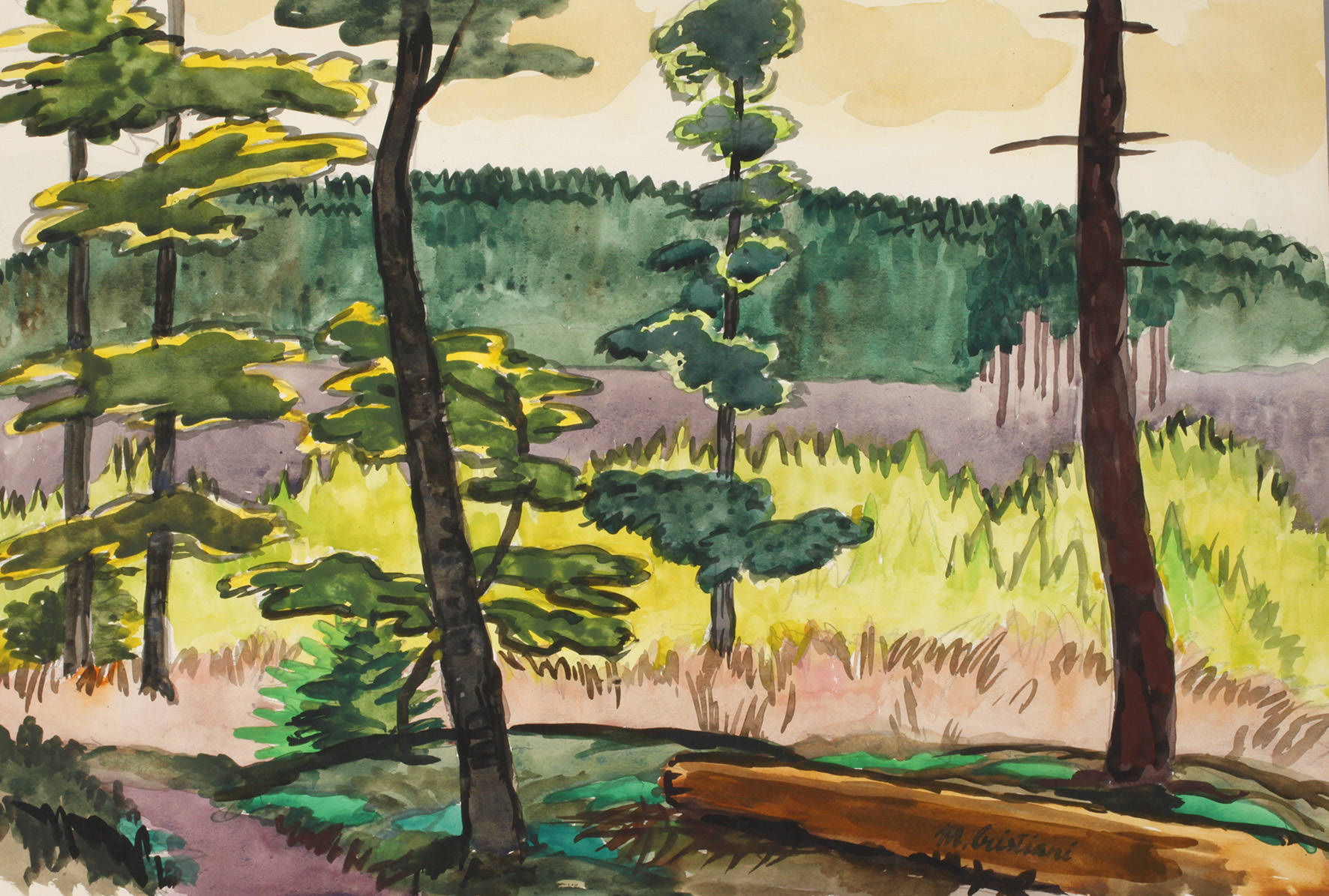 Mateo Cristiani, ”Besonntes Waldtal”