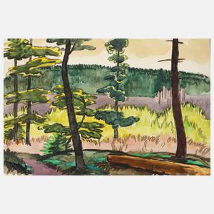 Mateo Cristiani, ”Besonntes Waldtal”