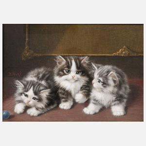 Burkhard Flury, Drei Katzenkinder