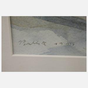 Dom und Kirche St. Severi in Erfurt