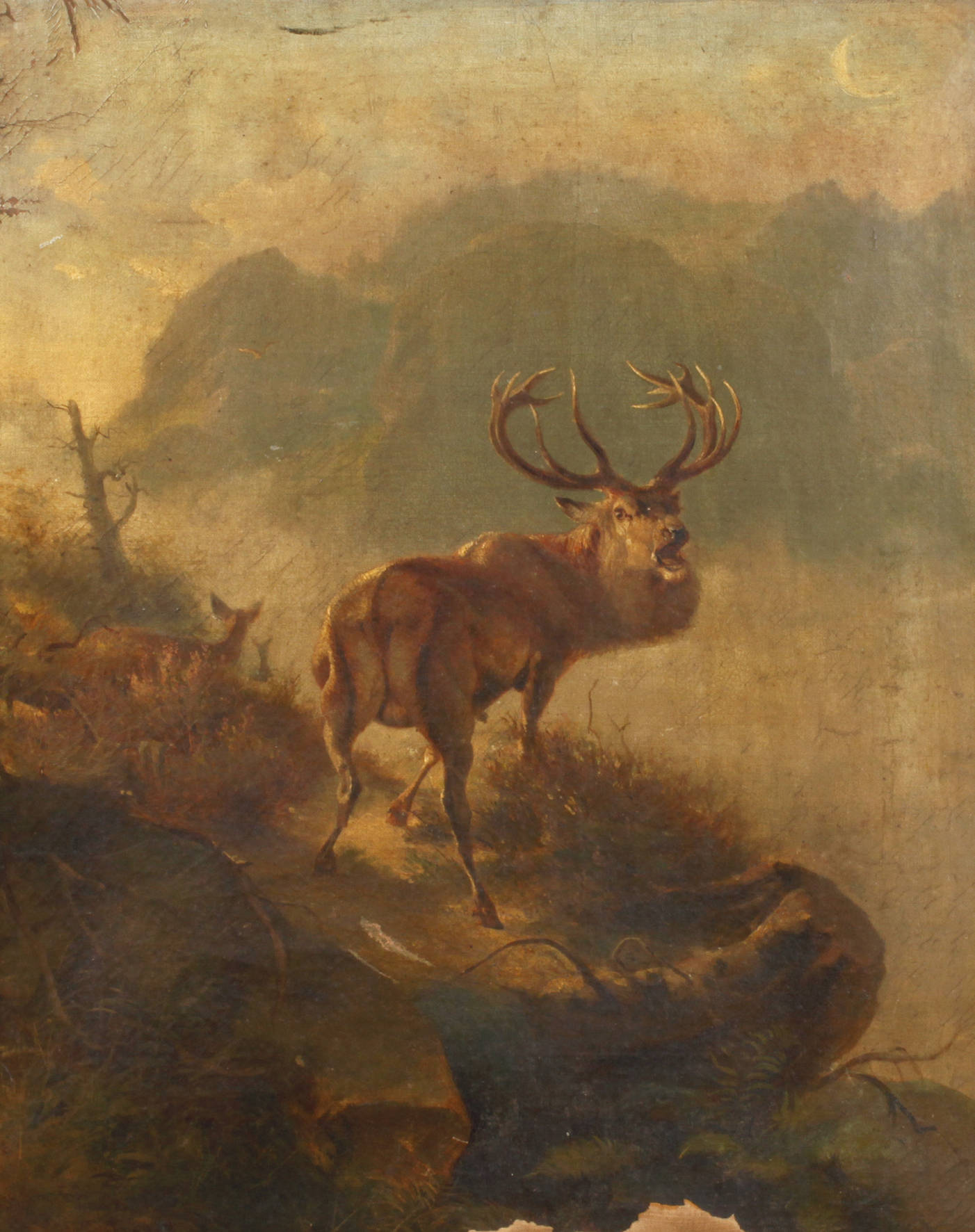Hermann Pansee, Röhrender Hirsch im Gebirge