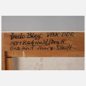 Fredo Bley, ”Der Hof im Hause Dr. Polster Mylau/Vogtland”