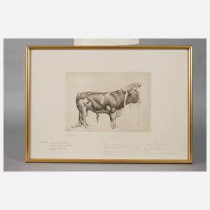 Prof. Richard Müller, ”Die Stärke”