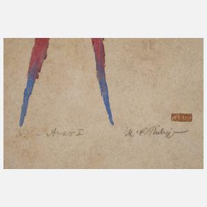 Martin Erich Philipp, ”Aras I”