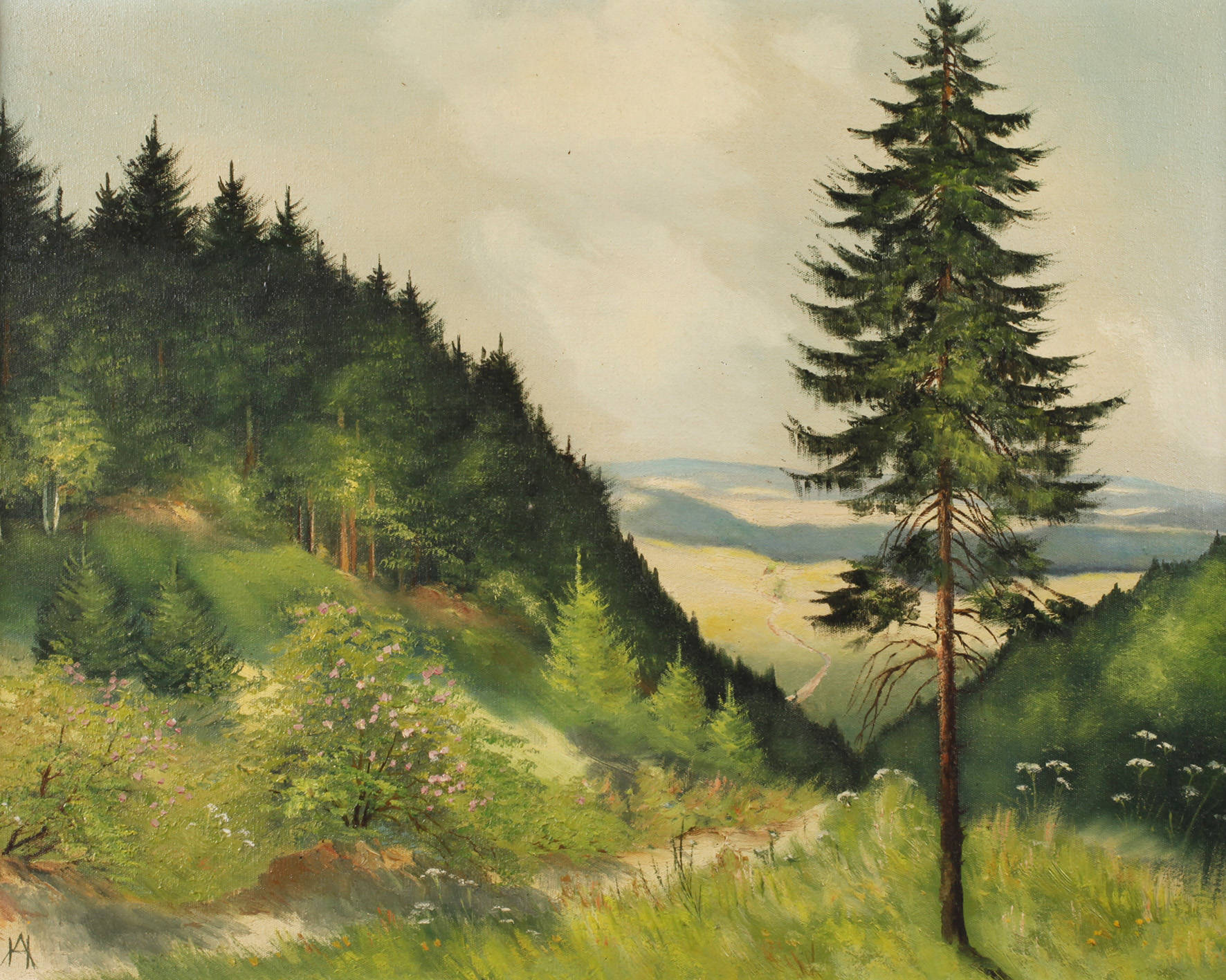 Vogtländische Sommerlandschaft