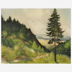 Vogtländische Sommerlandschaft