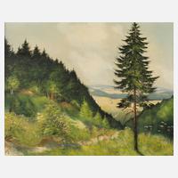 Vogtländische Sommerlandschaft111