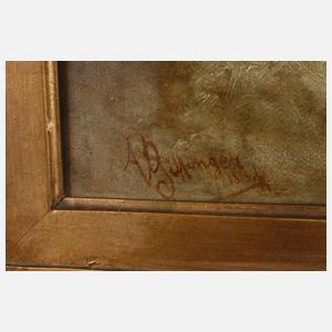 Giffinger, Sturzbach im Gebirge