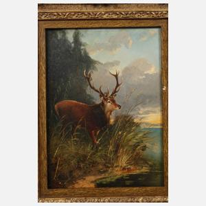 Julius Scheurer, Hirsch am See