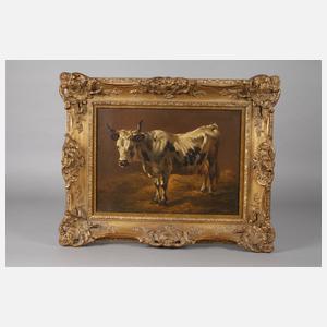 Prof. Friedrich Voltz, Rinderportrait