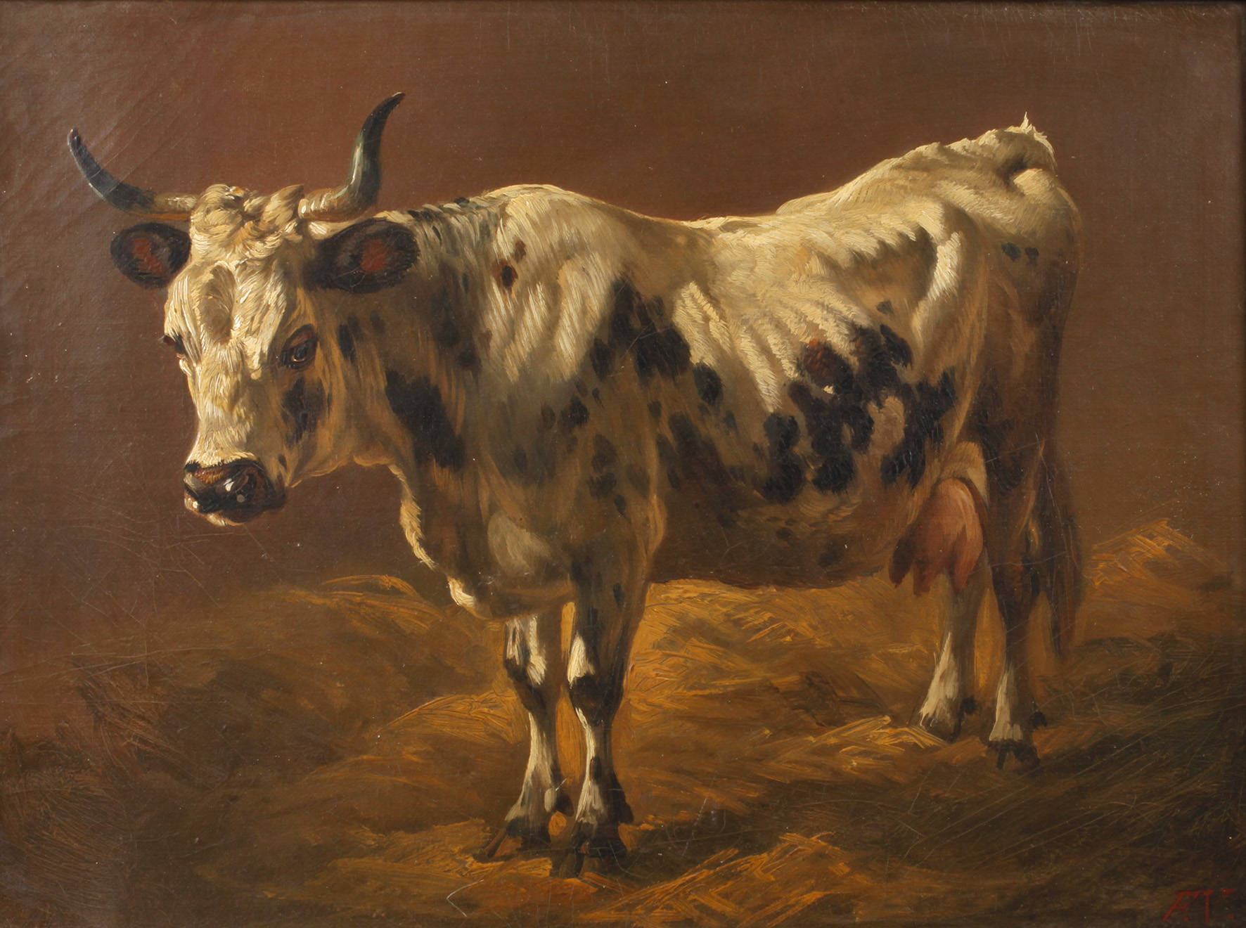 Prof. Friedrich Voltz, Rinderportrait