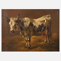 Prof. Friedrich Voltz, Rinderportrait111