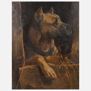 Anton Weinberger, Deutsche Dogge