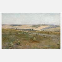 Henryk Weyssenhoff, Aus Wolyn in der Ukraine111