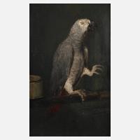 Papageienportrait111