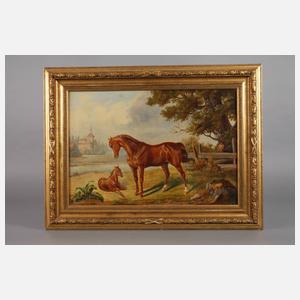 Pferde auf der Koppel