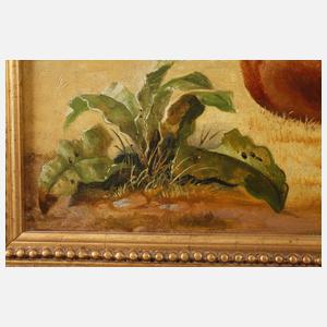 Pferde auf der Koppel