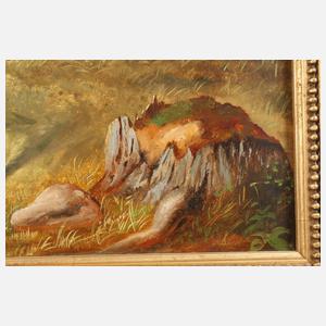 Pferde auf der Koppel