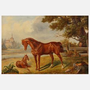 Pferde auf der Koppel