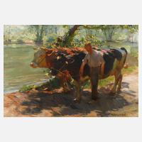 Max Bergman, Bauernjunge mit Kühen am Fluss111