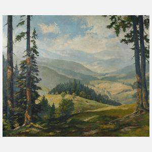 W. Bergmann, Sonnige Gebirgslandschaft