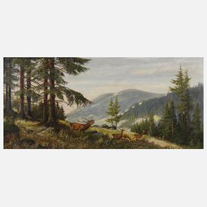 Hirsch, Hirschwild im Gebirge