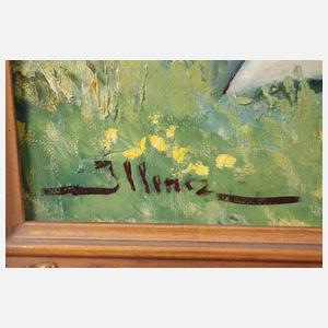 Leopold Illencz, Blumen pflückende junge Frau