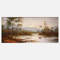 Willy Liebert, Landende Enten111