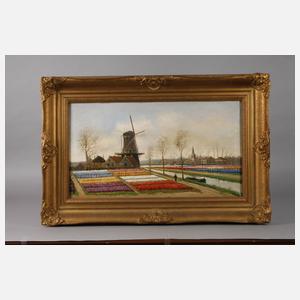 Alfred Martens, Tulpengärtnerei in Holland