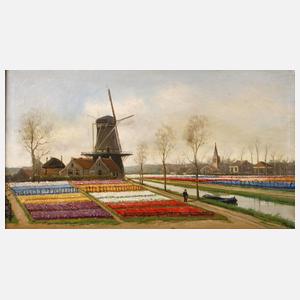 Alfred Martens, Tulpengärtnerei in Holland