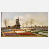 Alfred Martens, Tulpengärtnerei in Holland111