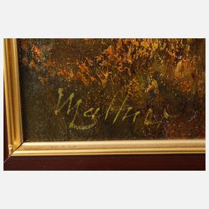 Mattner, Alte Mühle am Fluss