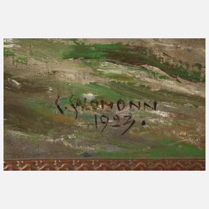 Carl Salomonn, Sommerlicher Kirchhof