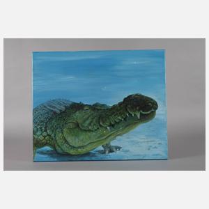 Saxana N. Schötschel, Alligator