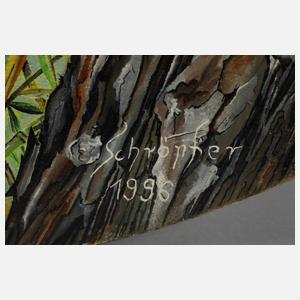 Hanspeter Schröpfer, Tondo mit Papageien