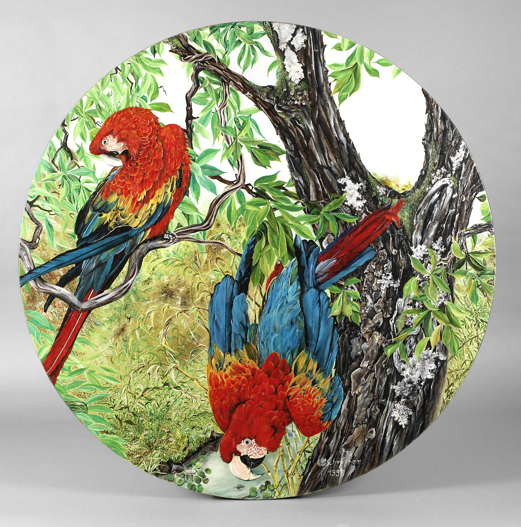 Hanspeter Schröpfer, Tondo mit Papageien