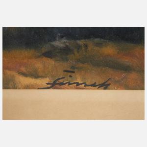 Jindrich Šimek, ”Riesengebirge”