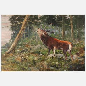 Phil. Wacker, ”Austretender Hirsch”