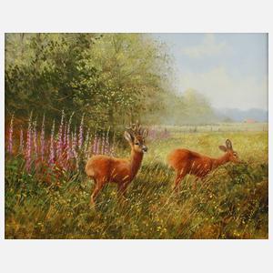 Rehe am Waldrand