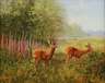 Rehe am Waldrand