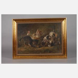 Spielende Katzenkinder