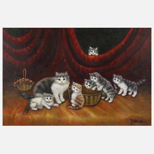 Possierliches Katzenbildnis