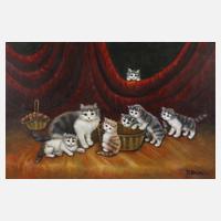 Possierliches Katzenbildnis111