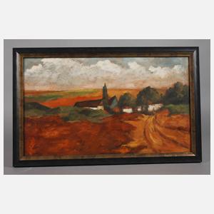 Reifende Felder im Abendlicht