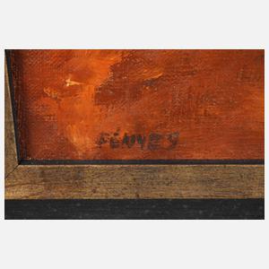 Reifende Felder im Abendlicht