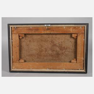 Reifende Felder im Abendlicht