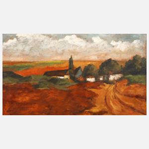 Reifende Felder im Abendlicht