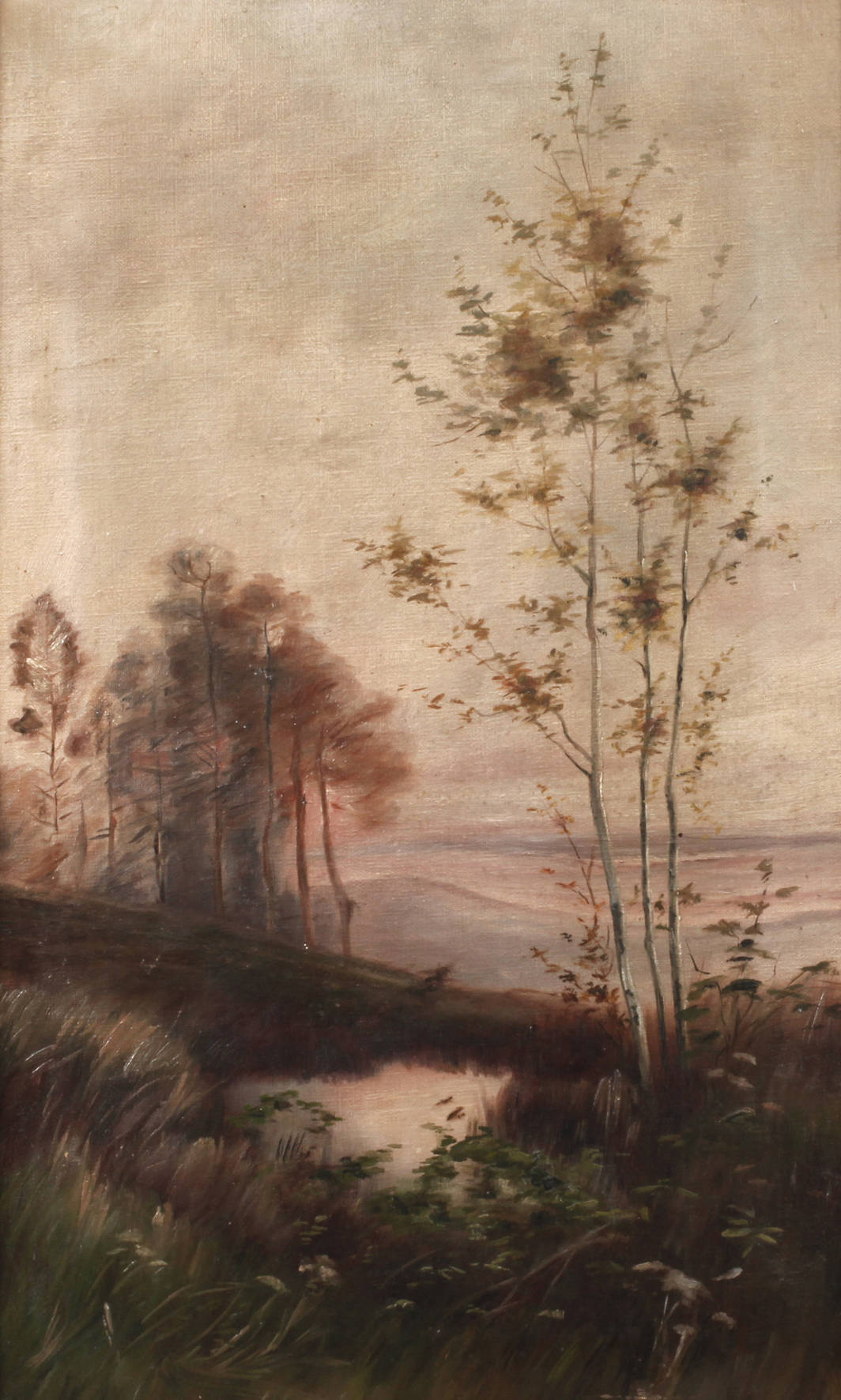 Abenddämmerung am Teich